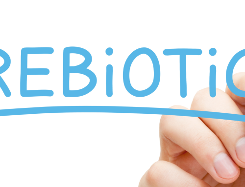 3 claves para entender el impacto de los prebioticos